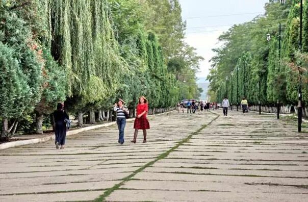 Буйнакск парк. Достопримечательности города Буйнакска. Буйнакск площадь парк. Улица Ленина Буйнакск.