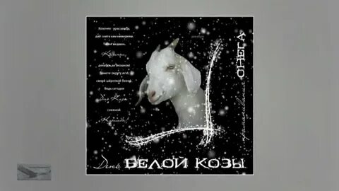 Картинки день белой козы