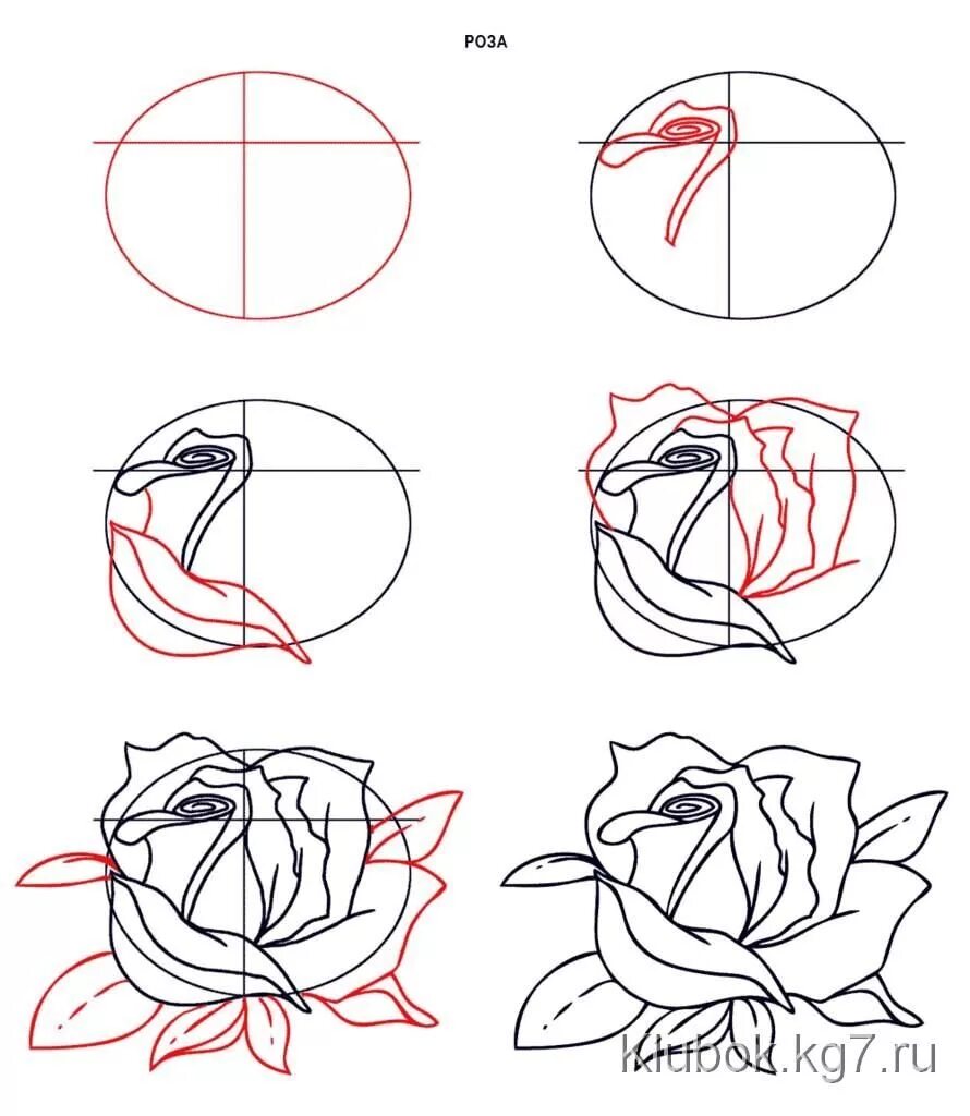 Пошаговые уроки с нуля. Поэтапное рисование розы карандашом. Поэтапное рисование розы карандашом для начинающих.
