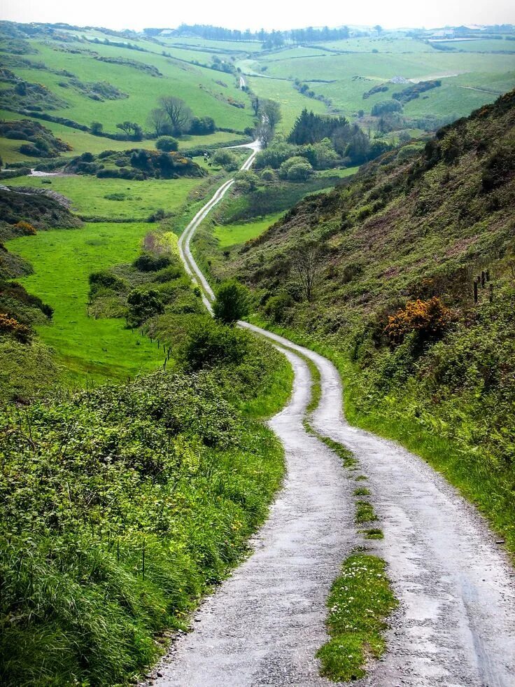 County roads. Скалистая дорога. Ирландия дорога. Дорога в Дублин. Ирландские горы.