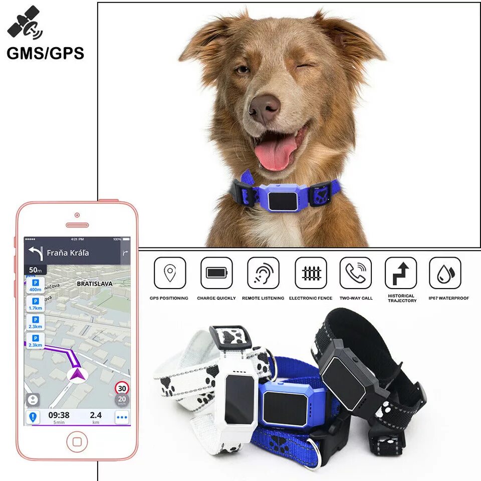 Трекер для животных geozon Pet Finder. Dog Locator Collar GPS. GPS для собак.