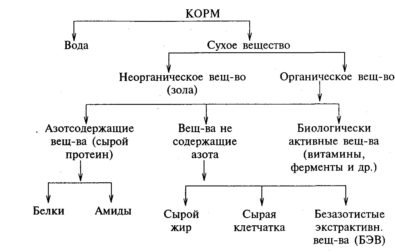 Корма и их значение. Схема зоотехнического анализа химического состава кормов. схема химического состава корма. схема химического анализа растительных кормов. составьте схему химического состава кормов..