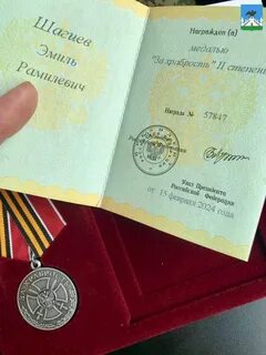 Медаль за храбрость 2024