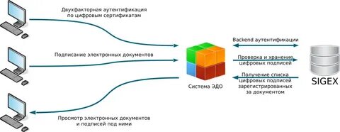 Эдо уз