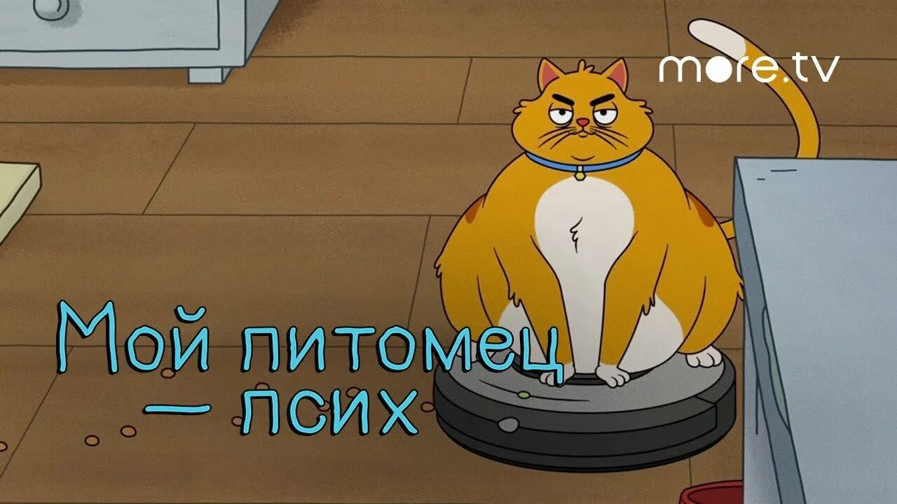 Мой питомец совхозная 2. Мой питомец совхозная 2