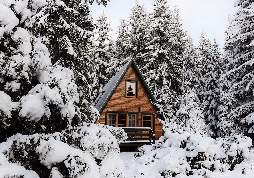 Одинокий домик. Домик в лесу зимой. Одинокий домик в зимнем лесу. Уютный домик в лесу зимой. 4 не вдалеке от дома начинался лес