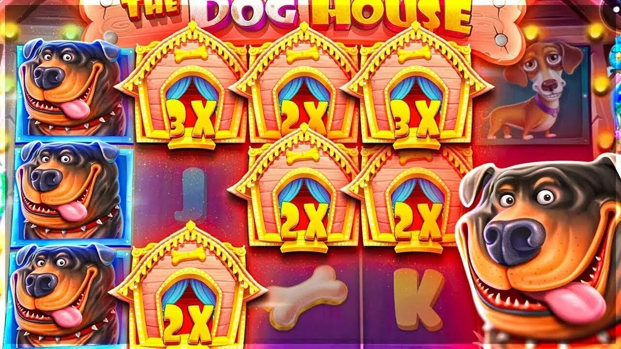 Dog house слот демо dogs house net. Слот собаки. Дог Хаус казино. Дог Хаус занос. Собаки казино.