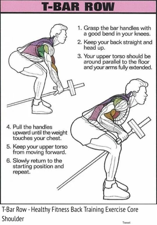 T bar rows. T-bar row упражнение. rowing упражнение. row упражнение. t bar low упражнения.