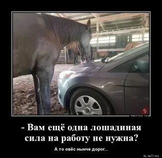 Что значат лошадиные силы в машине