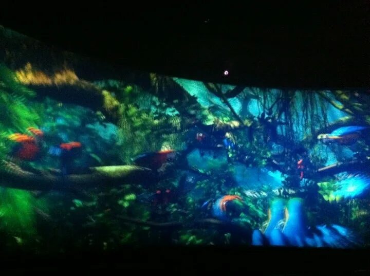 Nescafe imax кинотеатр москва. London imax cinema зал. 9д кинотеатр. аймакс мытищи зал. киносфера imax экран.