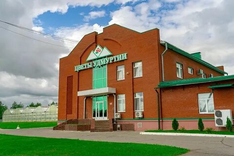 Цветы сарапул