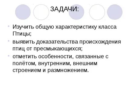 Класс птицы общая характеристика