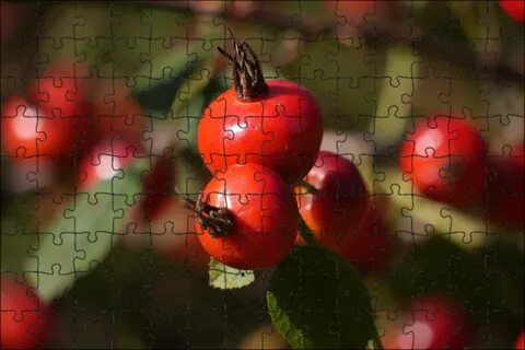 Песня вишня куст