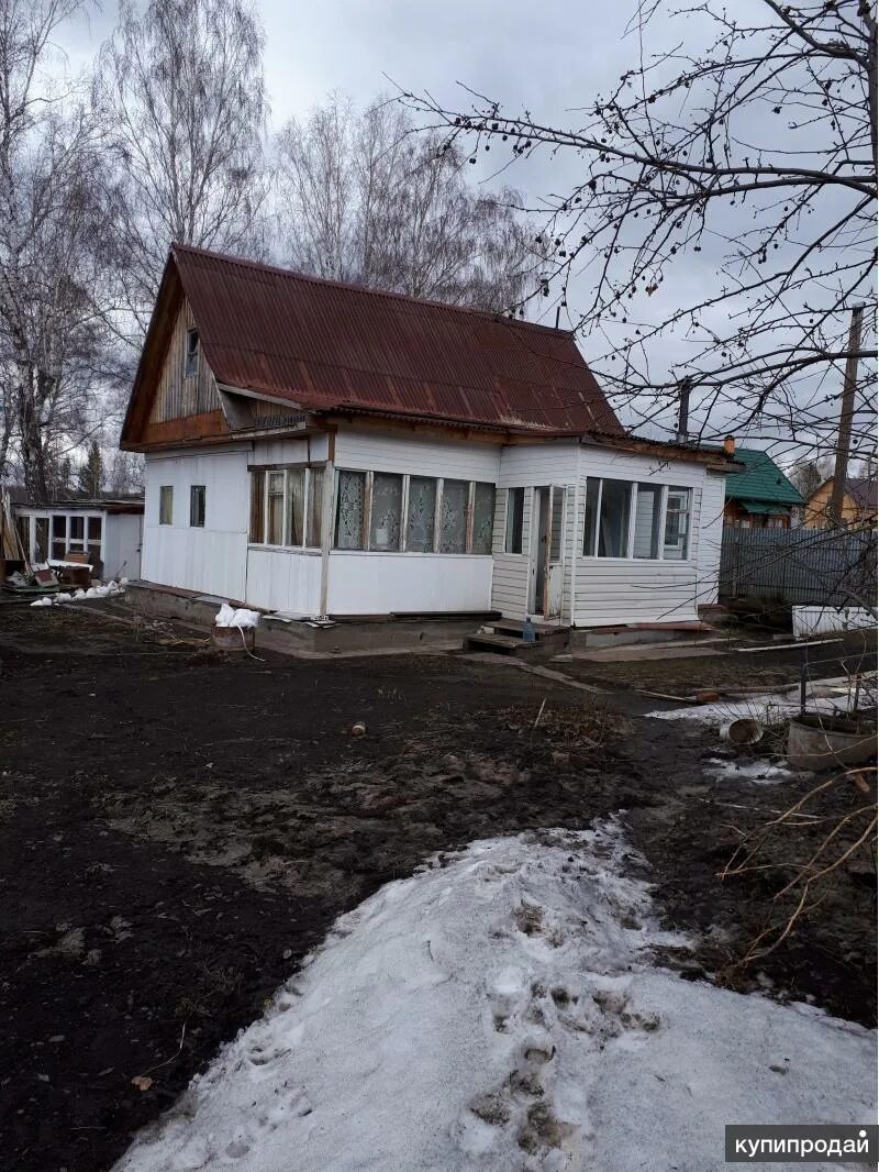 Снт березовая. Снт березовая роща новосибирск. снт березовая роща южно-сахалинск. снт березовая роща борский район. снт березовая роща тюмень.