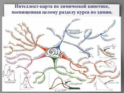 Интеллект карта 8 класс