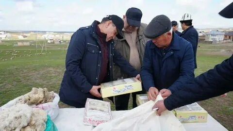 Государственный племенной завод