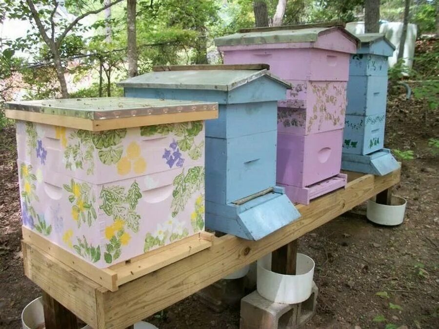 Улей бсс. Пчелиный домик. Современное пчеловодство. Ульи альпийский дадан. Пасека своими руками.