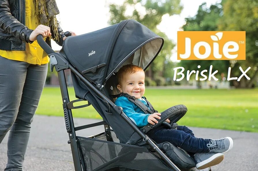 Joie parcel. Joie Brisk коляска. Joie Brisk LX. Joie Brisk DLX. Прогулочная коляска Joie Brisk Stroller.