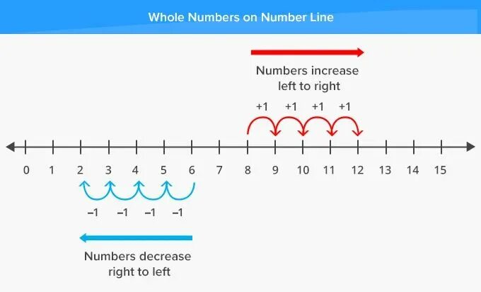 A number или the number. Числовая ось. number line. числовая ось на линейке. математика числовая ось.