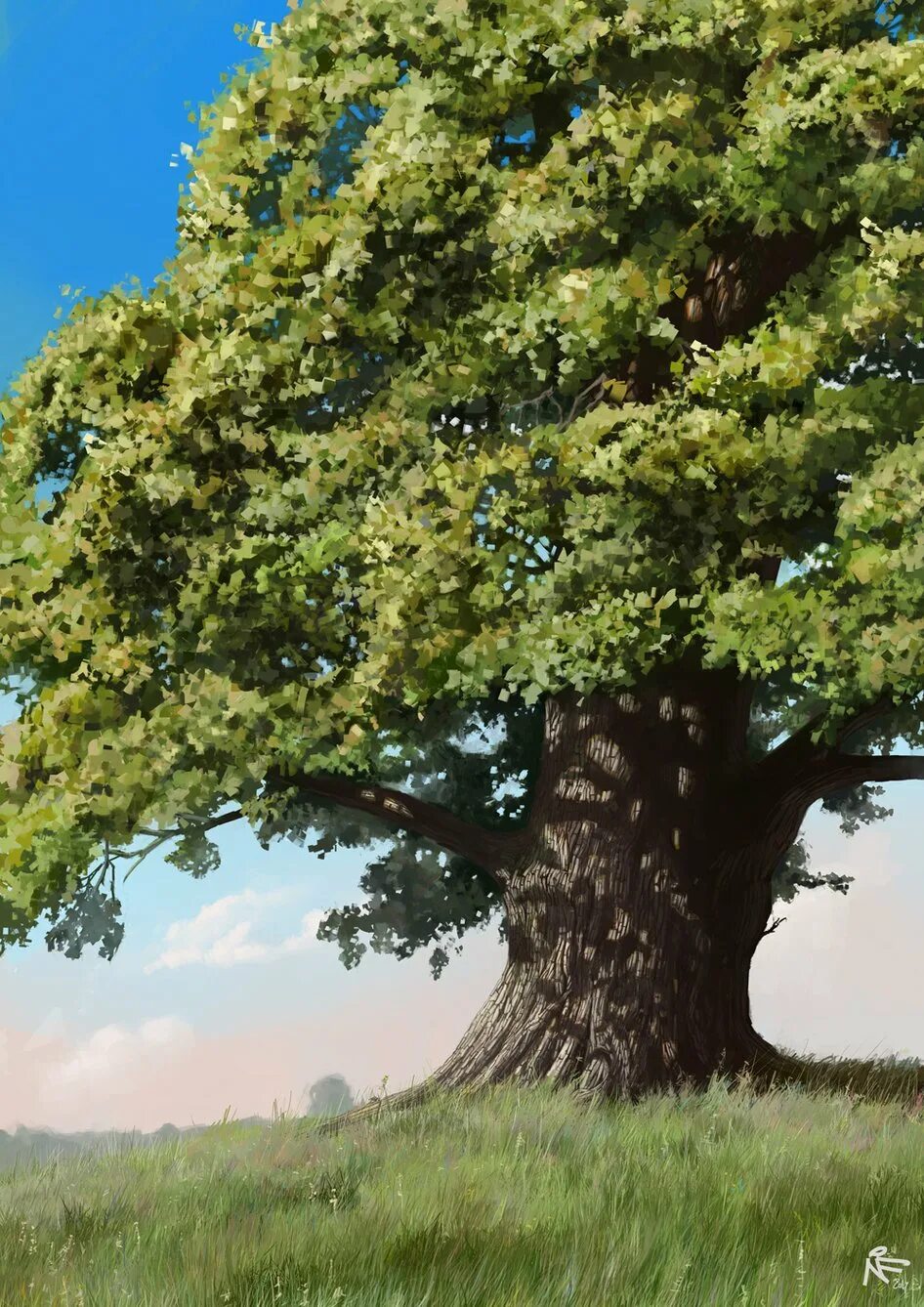 Дерево дуб Хадсон. Исполинский могучий дуб. Дуб черешчатый раскидистая крона. Дуб Македонский дерево.