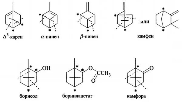 Пинен это. Бициклические монотерпены. Камфен формула. Камфен структурная формула. Камфора бициклический монотерпен.