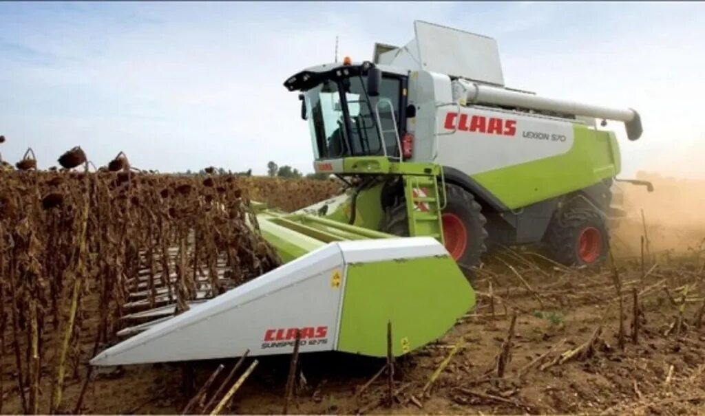 Подсолнух сбор урожая. Комбайн для сбора подсолнуха. Уборка подсолнечника. Дон 1500б уборка подсолнечника. Уборка урожая подсолнечника.