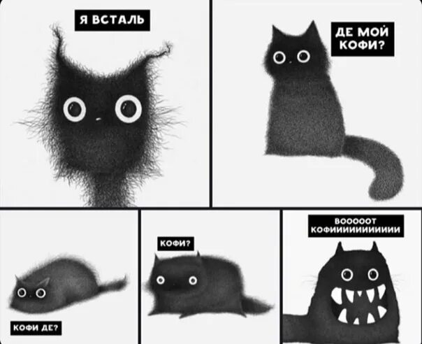 Кофе кот мем. Кот мем. коты мемы. кофе мем с котом. котик хочет кофе.