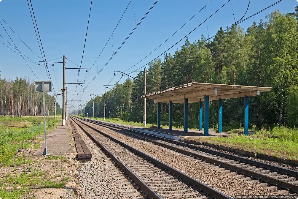 Станция пл 33 км московская область. 341 километр. Платформа 392км горьковская ржд фотолинии. Локомотивы ржд. Платформа донино лес.
