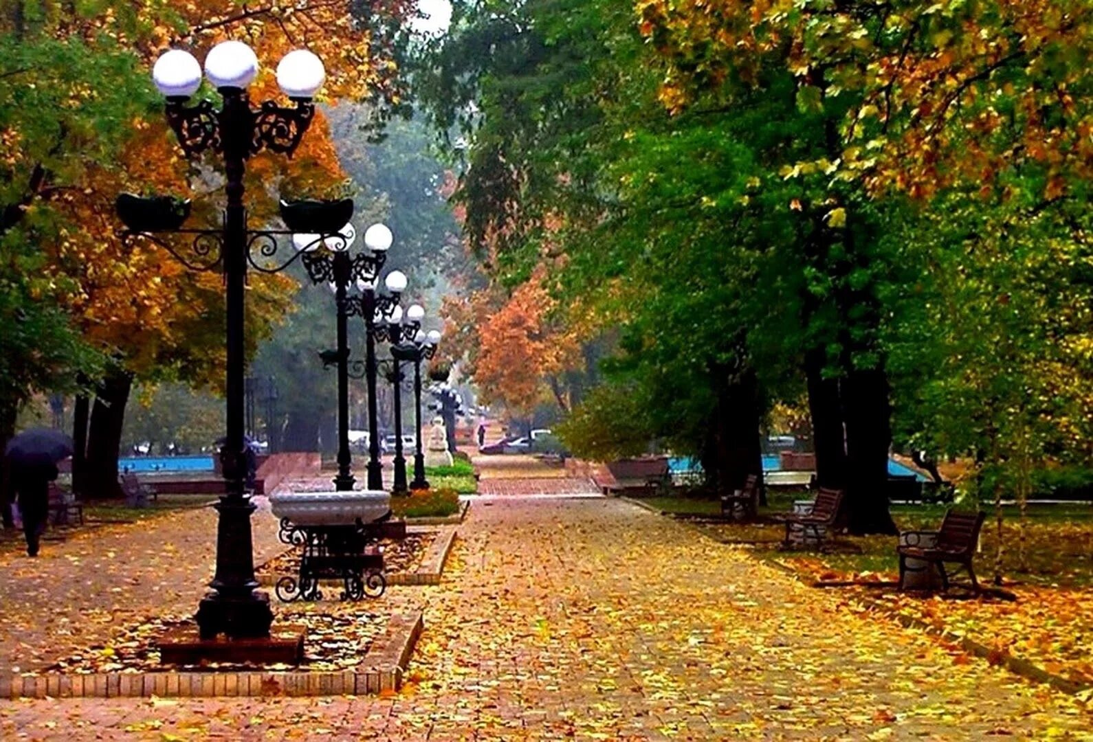 Осенний б р