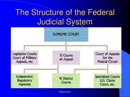 Judicial system