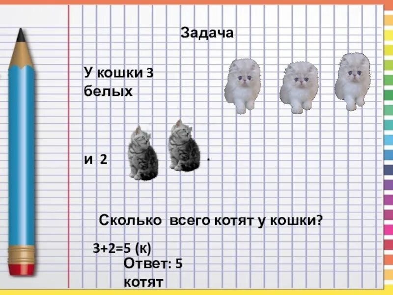 Сколько всего 9 5 ответ. У кошки 3 белых котенка и 2 черных. У кошки 3 белых котёнка и 2 чёрных. Сколько всего котят у кошки?. Задача у кошки было 3 белых котенка и 2 черных схема задачи. Нарисуй схему к задаче у кошки 3 белых котёнка и 2.