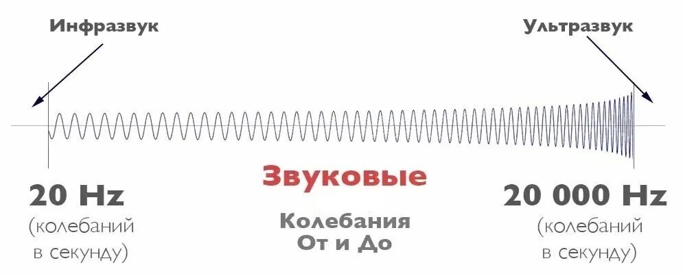 Ультразвук диапазон Гц звуковых колебаний. Звуковые колебания инфразвук ультразвук. Схемы ультразвуковых колебаний. Звуковая волна.