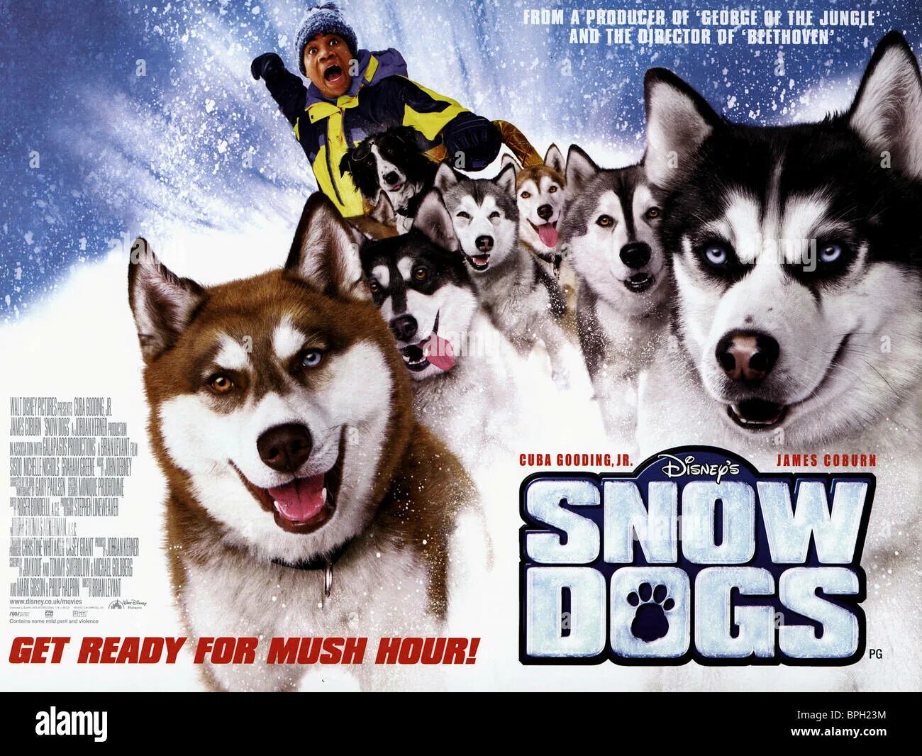 Snowdogs 2024. Сноу дог. Фестиваль Snow Dogs. Сноу дог 2023. Snow Dogs (2002) на рабочий стол.