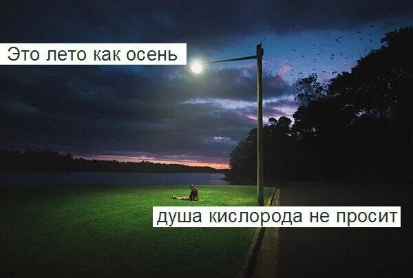 Душа кислорода не просит. Цитаты про лето из песен. Леницкий это лето как осень. Строчки из песен для лета. Строки из песен про лето.