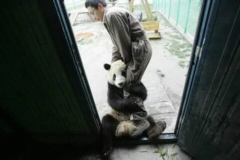 Ноги отпусти