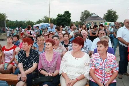 Погода краснодарский край станица крыловская. Краснодарский край станица Новопашковская. Новопашковская Крыловский район Краснодарский край. Станица Новопашковская Крыловского района. Краснодарский край, Крыловский р-н, станица Новопашковская.