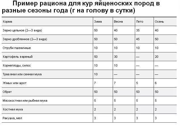 Норма корма для кур. Суточные нормы кормления кур несушек. Нормы кормления кур несушек в домашних. Норма корма для курей несушек в сутки. Таблица кормления кур несушек в домашних условиях.