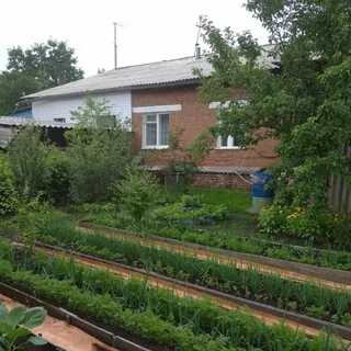 Барахолка бородино красноярский край