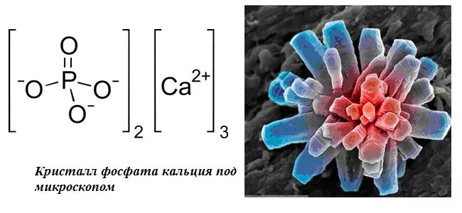 Фосфат кальция какая связь