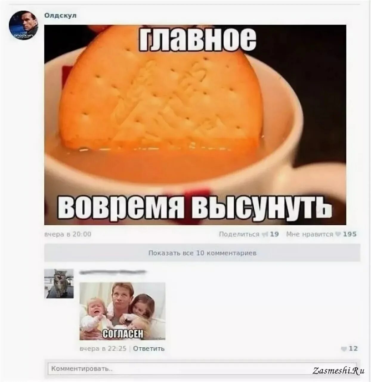 Печеньки мем. Зализал начальству. Подлизал мем. Креативные домашние животные. Главное вовремя подлизывать.
