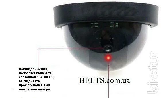 большая купольная камера муляж. как распознать муляж видеокамеры. как отличить камеру от муляжа. как отличить камеру от муляжа. фейковая камера.