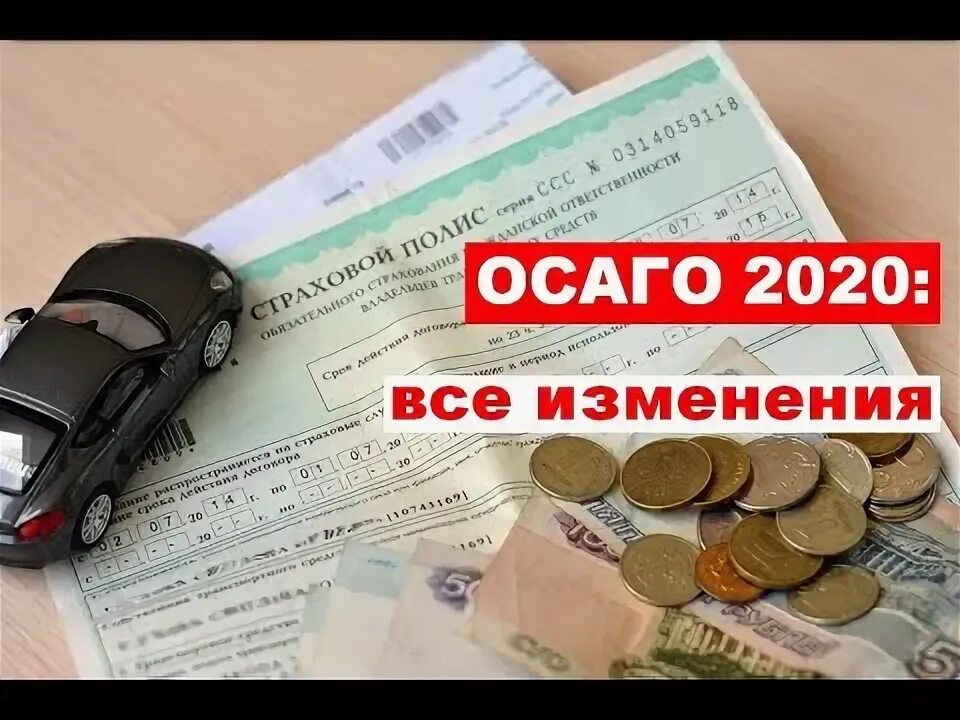 Изменение об осаго. Кот осаго.