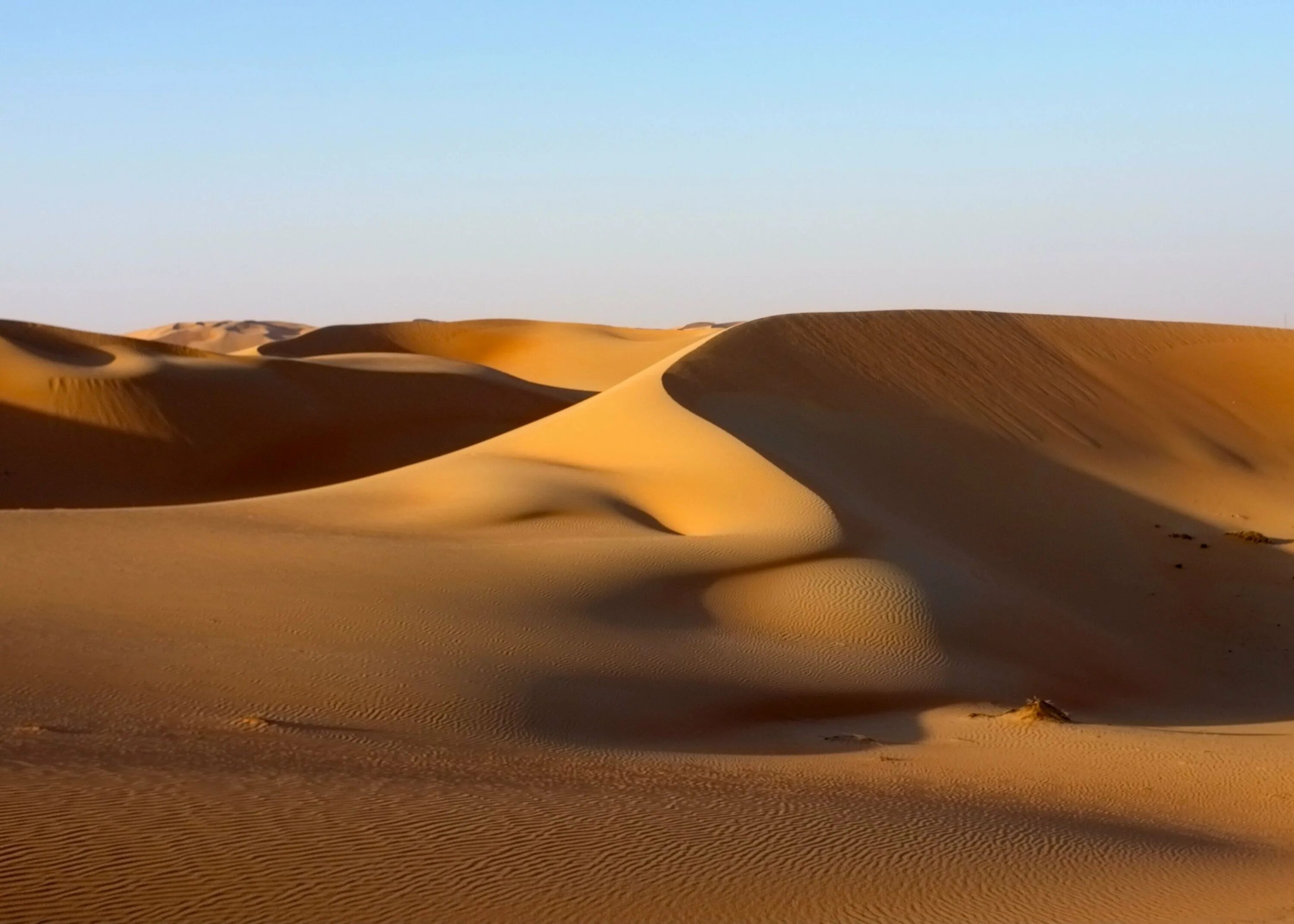 Барханы ханы. ОАЭ пустыня руб-Эль-Хали. Бухара пустыня Кызылкум. Пустыня Каракум Оазис. Йемен пустыня руб-Эль-Хали.