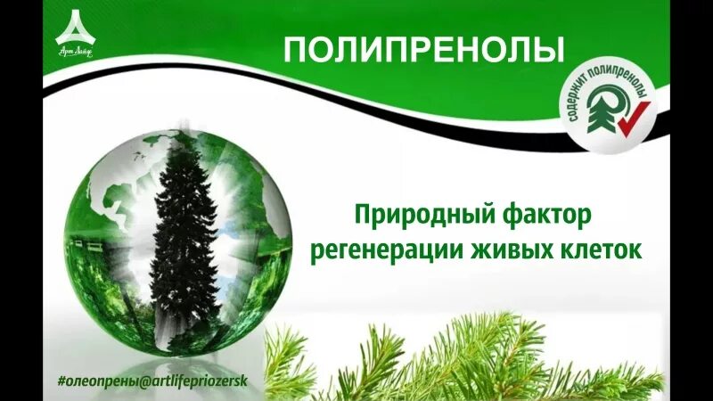 Полипренолы что это такое и для чего. Полипренолы. полипренолы пихты сибирской что это. полипренолы пихты сибирской тайги. полипренолы препараты в аптеке.