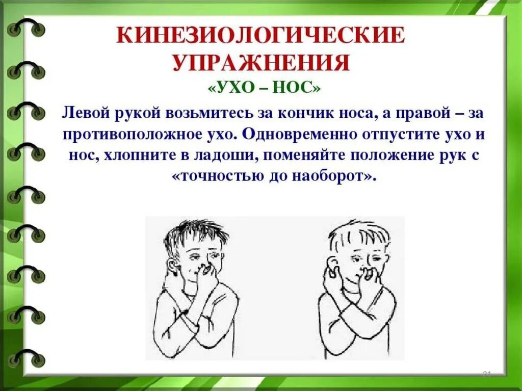 Кинезиологические упражнения для детей дошкольного возраста. Кинезиологические упражнения для младших школьников. Кинезиологические упражнения ухо нос. Упражнения по кинезиологии для дошкольников. Нейрогимнастика 7 лет