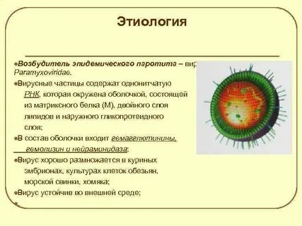 Эпидемический возбудитель