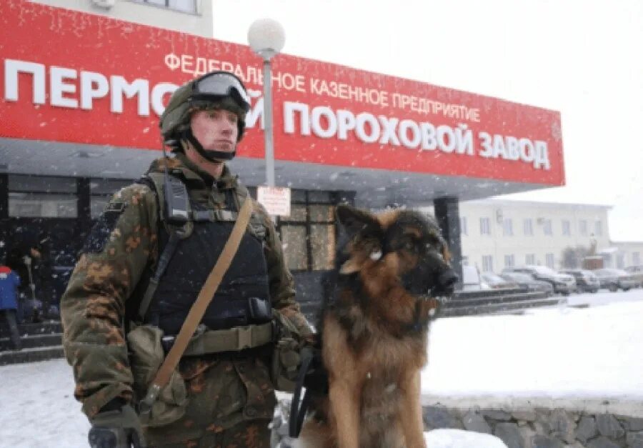 27 апреля день вго. 27 апреля день спецчастей росгвардии. росгвардия охрана вго и сг. день спецчастей по охране вго.