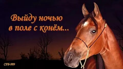 Бесплатные песни про лошадей