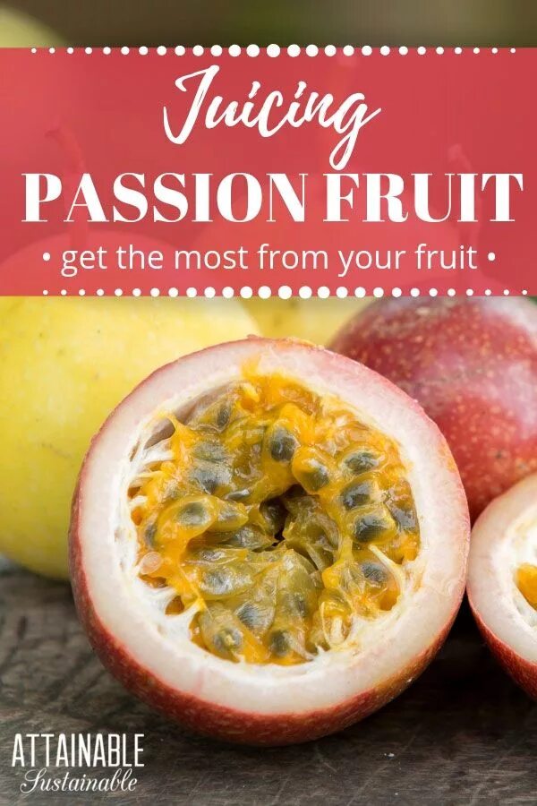 Passion fruit перевод на русский язык