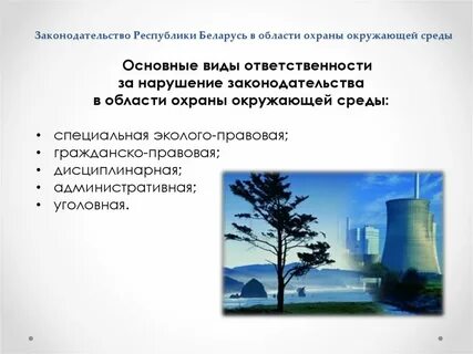Рб ответственности